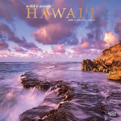 2023 BrownTrout Hawaii Wild & Scenic 12 x 12 Monthly Wall Calendar (9781975451776)