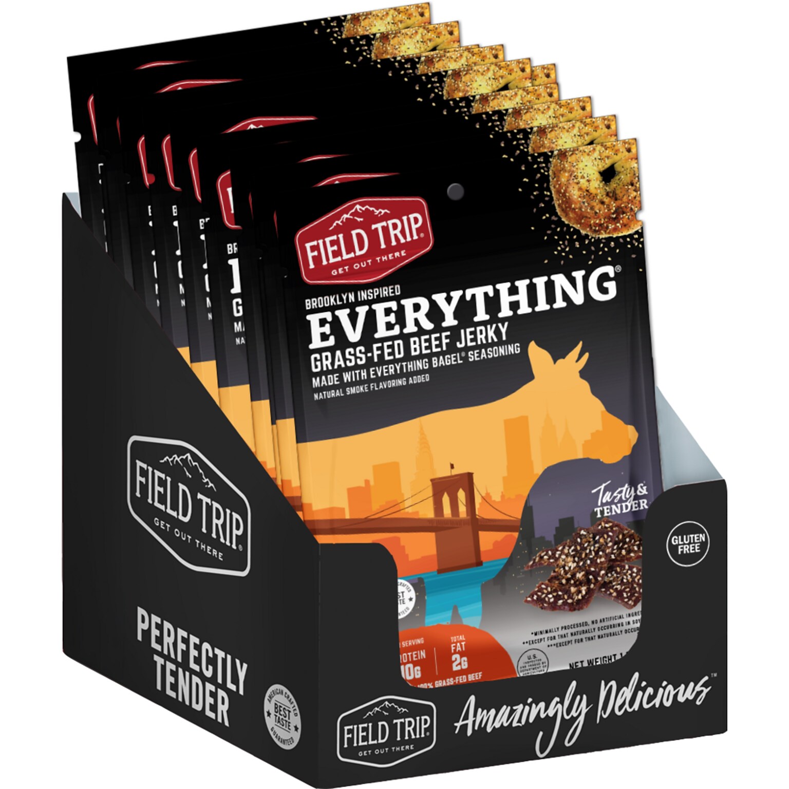 Field Trip Everything Bagel Beef Jerky, 1 oz., 12/Box (D0100BJ12EB)