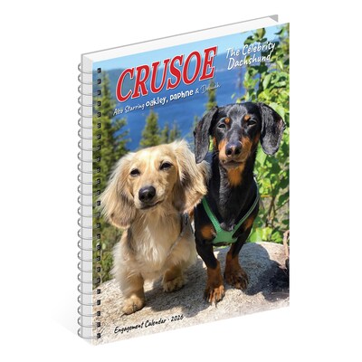 2026 Willow Creek Crusoe the Celebrity Dachshund 6.5" x 8.5" Daily & Monthly Personal Organizer (54611)