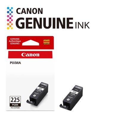 Canon 225 Black Standard Yield Ink Cartridge  (4530B001)