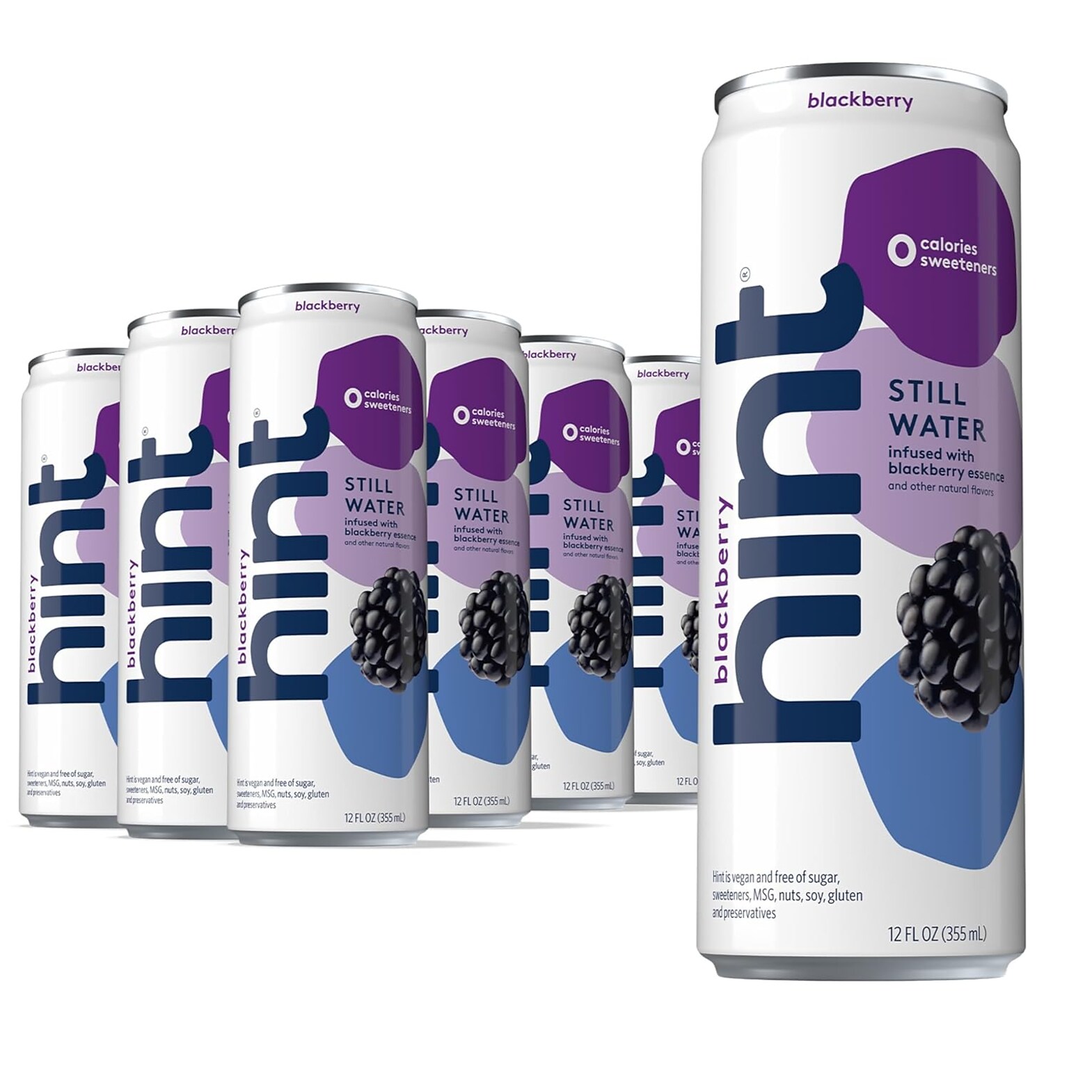 Hint Blackberry Flavored Purified Water, 12 fl. oz., 24 Cans/Carton (HNT02227)
