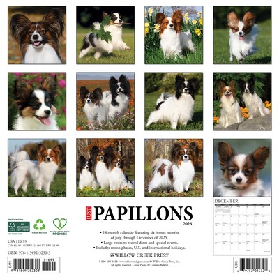 2026 Willow Creek Papillons 12 x 12 Monthly Wall Calendar (52303)