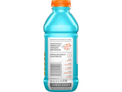 Gatorade Gatorlyte Glacier Freeze Sports Drink, 20 fl. oz., 12 Bottles/Carton (5499)