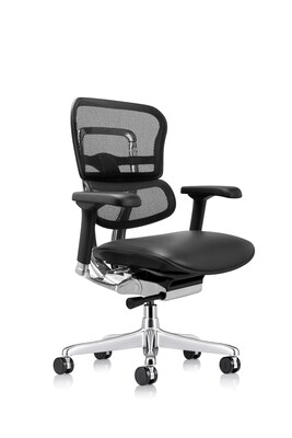 Eurotech Ergohuman Gen2 Mid Back Mesh Office Chair, Black (LEM6ERGLO-GEN2)