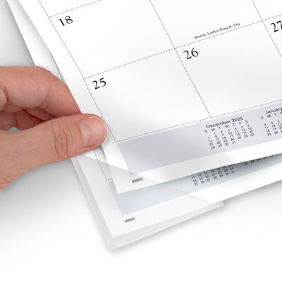 2026 AT-A-GLANCE Panoramic Landscape 21.75" x 17" Monthly Desk Pad Calendar (89802-26)