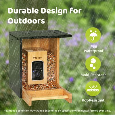 Birdfy Feeder Bamboo Mini with Camera, Solar Panel and Free AI Lifetime Subscription, Black & Brown (EPPAMBNI8412110)