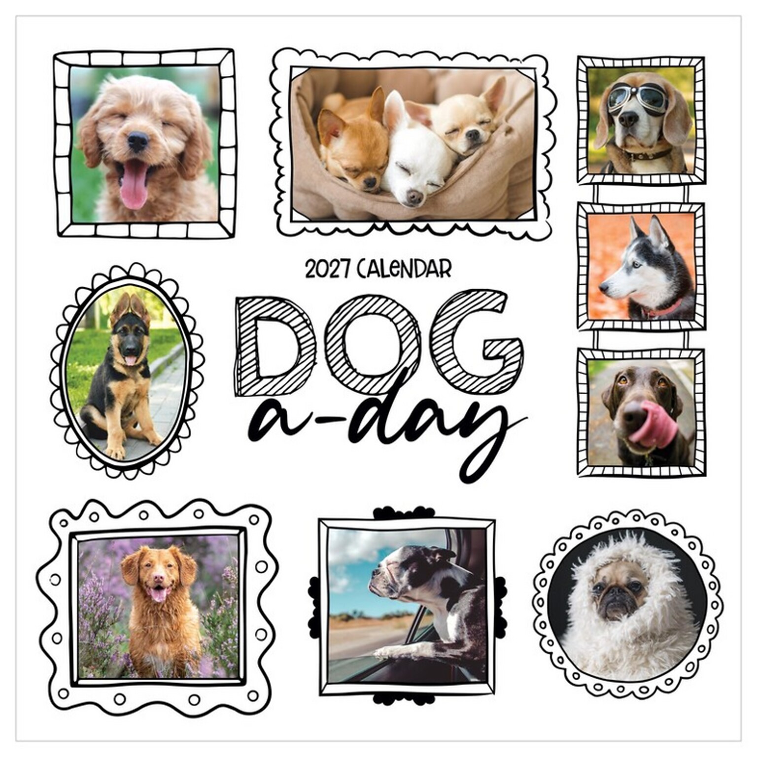 2027 TF Publishing Dog-A-Day 11 x 12 Monthly Wall Calendar (27-1009)