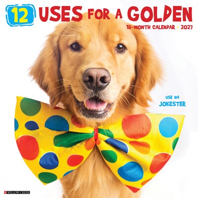 2027 Willow Creek 12 Uses for a Golden 12 x 12 Monthly Wall Calendar, Assorted Colors (58589)