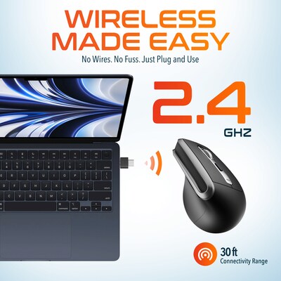 Delton S20 Wireless Ergonomic Optical Mouse, Black (DMS20-WB)