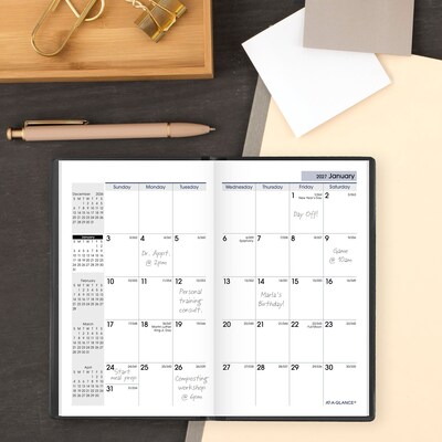 2027 AT-A-GLANCE DayMinder 3.5" x 6" Monthly Planner, Plastic Cover, Black (SK53-00-27)