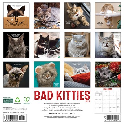 2026 Willow Creek Bad Kitties 12 x 12 Monthly Wall Calendar (50040X)