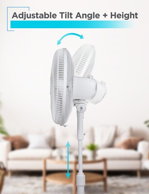 Black & Decker 16" Oscillating Pedestal Fan, 3-Speed, White (BFP16MXW)