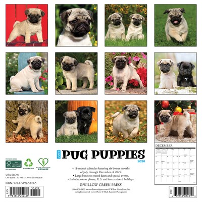 2026 Willow Creek Pug Puppies 12 x 12 Monthly Wall Calendar (52495)