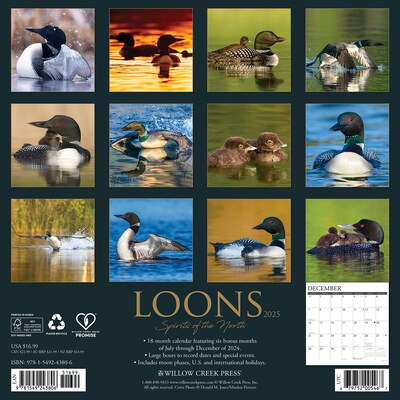 2025 Willow Creek Loons 12 x 12 Monthly Wall Calendar (43806)