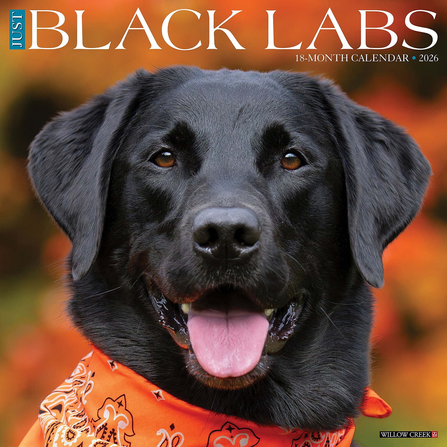 2026 Willow Creek Black Labs 12 x 12 Monthly Wall Calendar (50316)