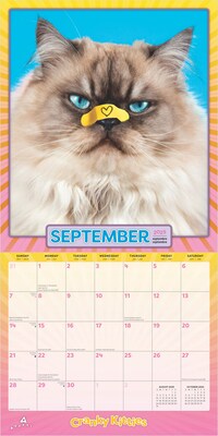 2025 BrownTrout Avanti Cranky Kitties  12" x 12" Monthly Square Wall Calendar (9781975479664)