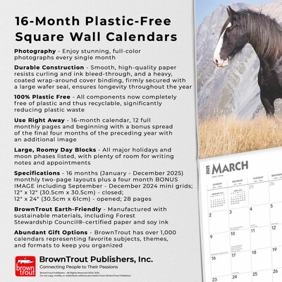 2025 BrownTrout Clydesdales 12" x 12" Monthly  Wall Calendar (9781975476854)
