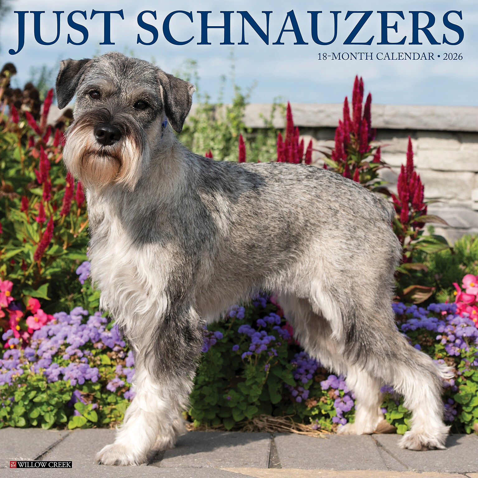 2026 Willow Creek Schnauzers 12 x 12 Monthly Wall Calendar (52686)