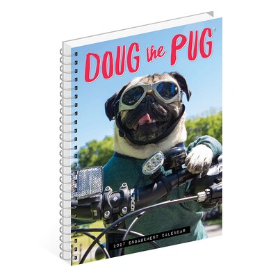 2027 Willow Creek Doug the Pug 6.5" x 8.5" Weekly & Monthly Desk Calendar (64405)