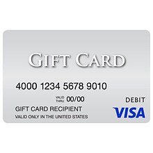 Visa $300 Gift Card