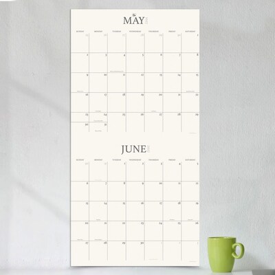 2027 TF Publishing 2 Year Grid 12" x 12" Monthly Wall Calendar, Multicolored (27-1144)