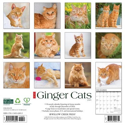 2025 Willow Creek Just Ginger Cats 12 x 12 Monthly Wall Calendar (43059)