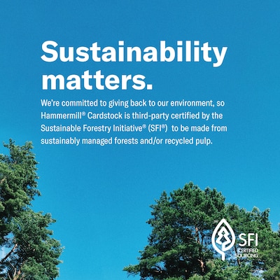 Hammermill 11" x 17" Colored Copy Paper, 20 lbs., Green, 500 Sheets/Ream, 5 Reams/Carton (102186CT)