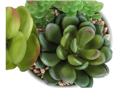 Monarch Specialties Inc. Succulents in Pots, 2/Pack (I 9588)