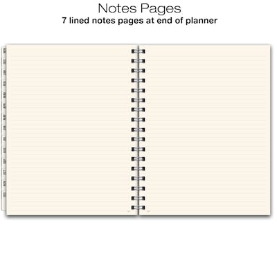 2027 Excello Brands 9" x 11" Weekly & Monthly Standard Planner, Paperboard Cover, Frosted (ESPL-CY27-8511)