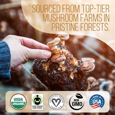 La Republica Organic Ground Superfood Mushroom Coffee, Fair Trade Arabica Coffee, Medium Roast, 60 Servings (LARR-OGMC)