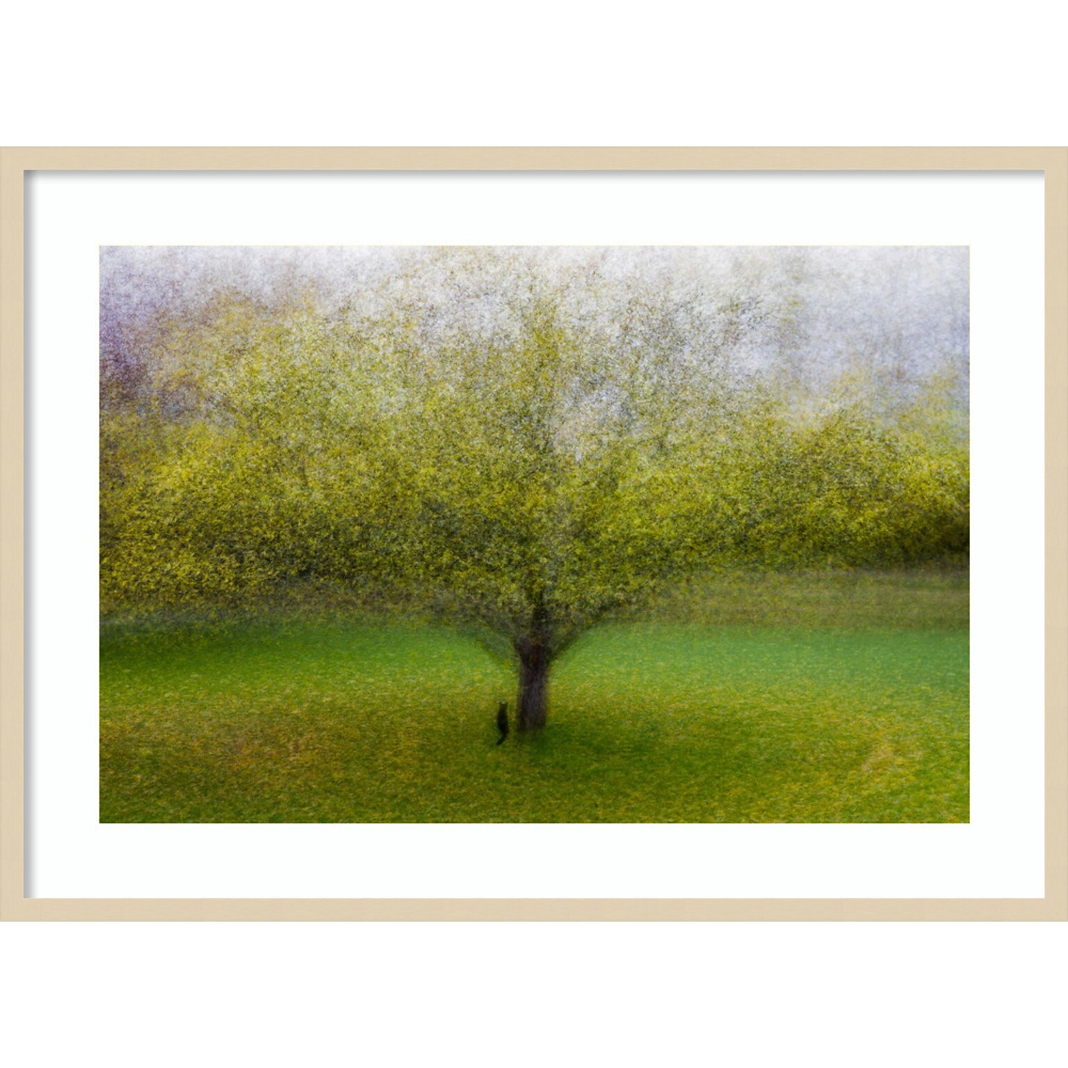 Amanti Art The Cat by the Tree by Arne Ostlund Wood Framed Wall Art Print, 41 x 30 (A42675535519)