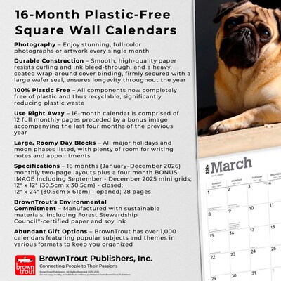 2026 BrownTrout Pugs 12" x 12" Monthly Wall Calendar (9798330705238)