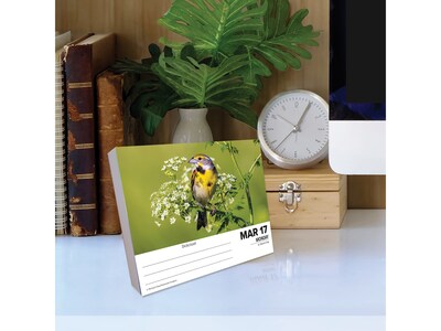 2025 Willow Creek Backyard Birds 5.86" x 4.72" Day-to-Day Calendar (40614)
