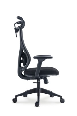 Raynor Group Torque Ergonomic Fabric/Mesh Swivel Manager Chair, Black (TORQUE-BF-BLK)