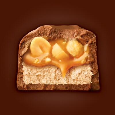 Snickers Share Size Milk Chocolate Candy Bars, 3.29 oz., 24/Box (MMM32252)