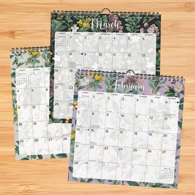 2027 Willow Creek Botanical Nature 12" x 12" Monthly Wall Calendar, Assorted Colors (65587)