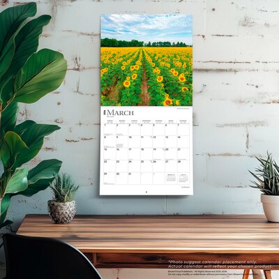 2026 BrownTrout Sunflowers 12" x 12" Monthly Wall Calendar (9798330705696)