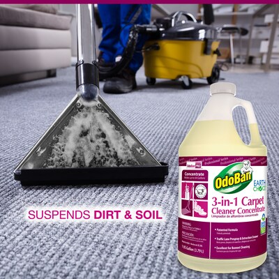 OdoBan Professional 3-in-1 Carpet Cleaner, 1 Gallon (9602B62-G4)