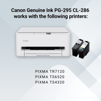 Canon PG-295XL Black High Yield Ink Cartridge (PG-295)