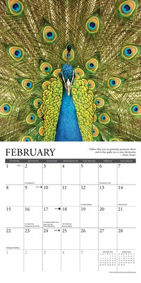 2026 Willow Creek Inspirations 7" x 7" Monthly Wall Calendar (53614X)