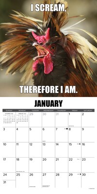 2027 Willow Creek No Clucks Given  12" x 12" Monthly Wall Calendar (61527)