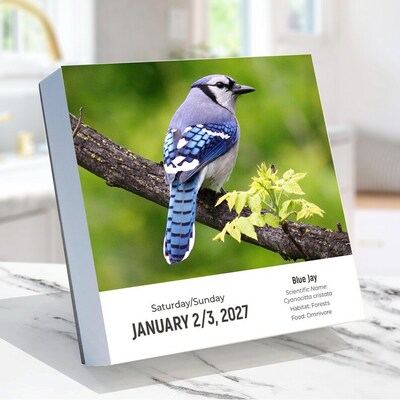 2027 TF Publishing Birds: Backyard 5.25 x 5.25 Daily Day-to-Day Calendar, Multicolored (27-3068)