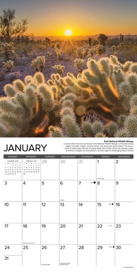 2027 Willow Creek Arizona 12" x 12" Monthly Wall Calendar, Assorted Colors (58824)