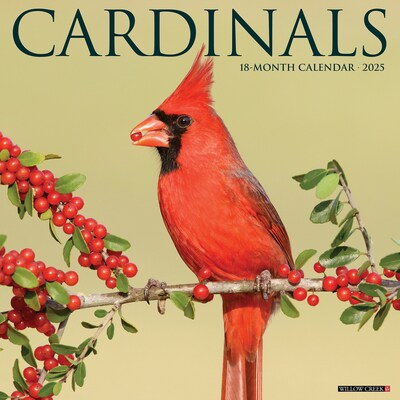 2025 Willow Creek Cardinals 12 x 12 Monthly Wall Calendar (42151)