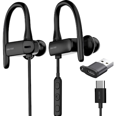 Delton 24ECA Wired Stereo Earbuds with Microphone, USB-C and USB-A Adapter, Black (DWH24ECA)