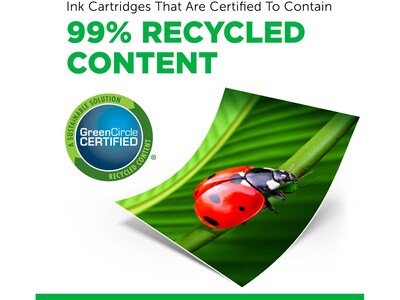 Clover Imaging Group Remanufactured Cyan/Magenta/Yellow/Black Standard Yield Ink Cartridge Replacement for HP 564 (3YQ22AN)