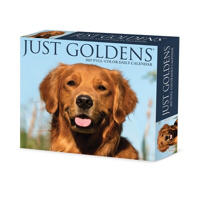 2027 Willow Creek Goldens 5.4 x 6.2 Day-to-Day Calendar (63491)