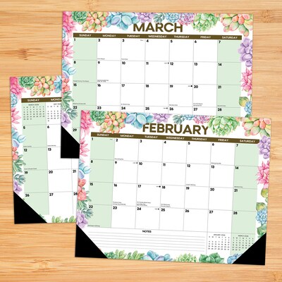 2026 Willow Creek Succulents 22 x 17 Monthly Desk Pad Calendar (57285)