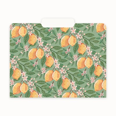 Blue Sky Bespoke File Folder, 1-Tab, Assorted, Letter Size, 6/Pack (155612)