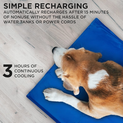 Arf Pets Non-Toxic Gel Dog Cooling Bed Mat for Kennels, 19" x 35", Blue (APCLPD0220)